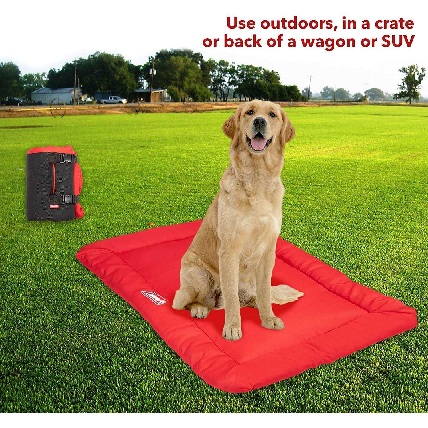 Coleman Roll-Up Travel Dog Bed