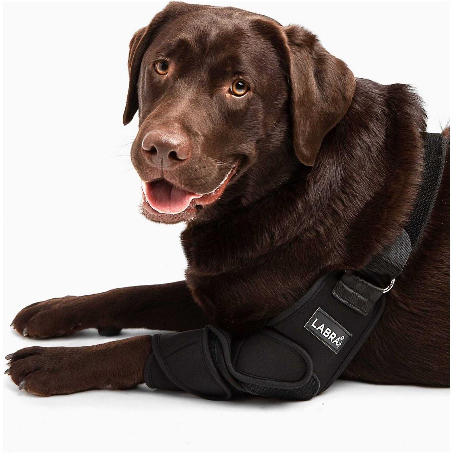 Labra Canine Shoulder Elbow Brace Leg Dog Wrap