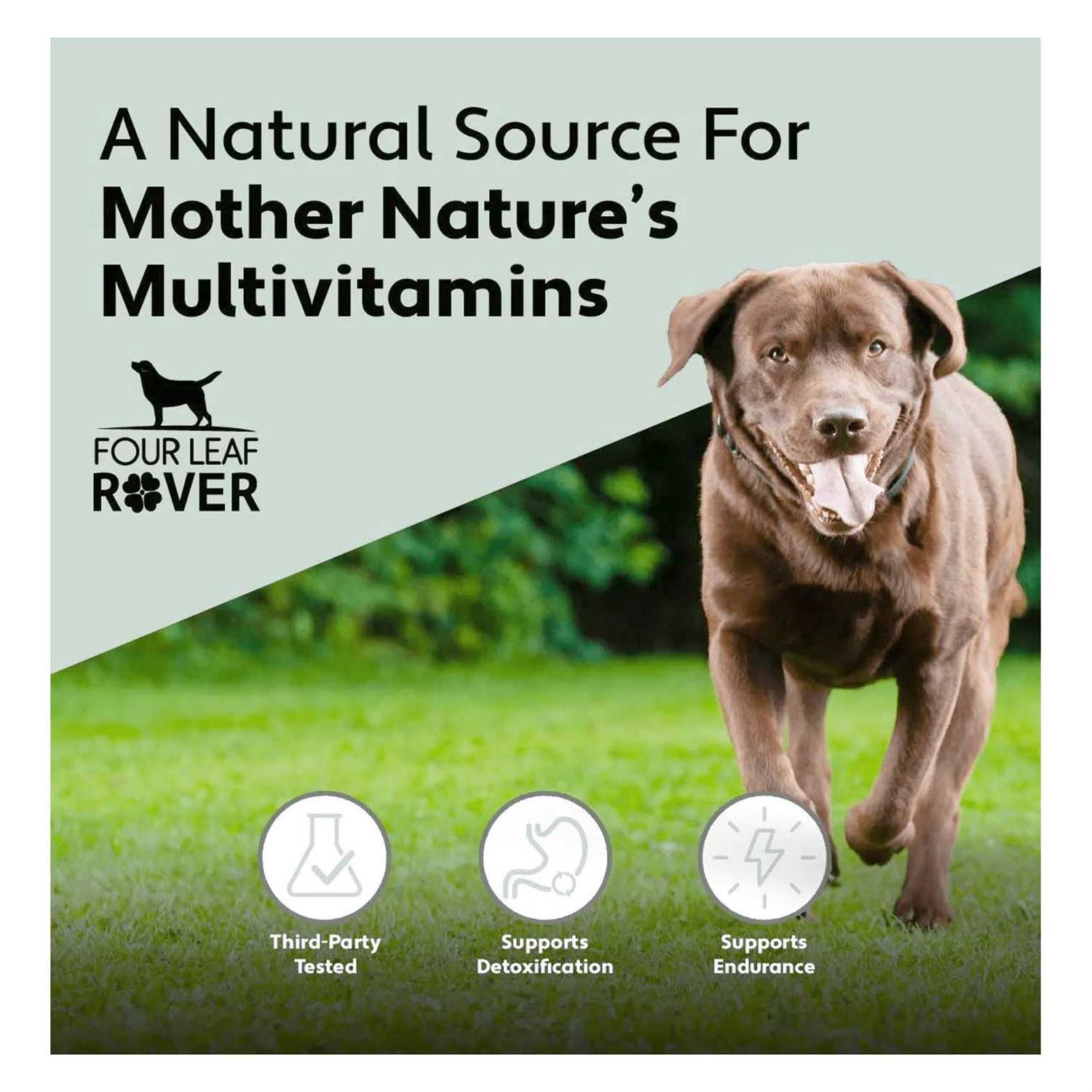 Four Leaf Rover Guts & Glory