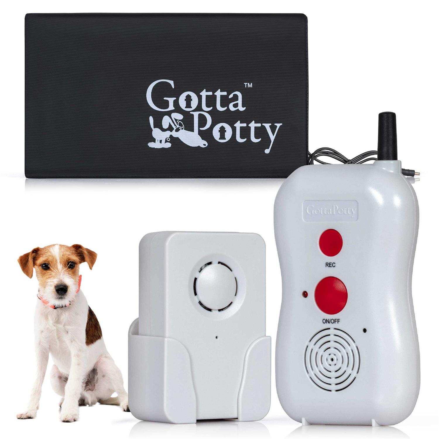 SAFETY VISION The Source Direct Wireless Dog Potty Training System