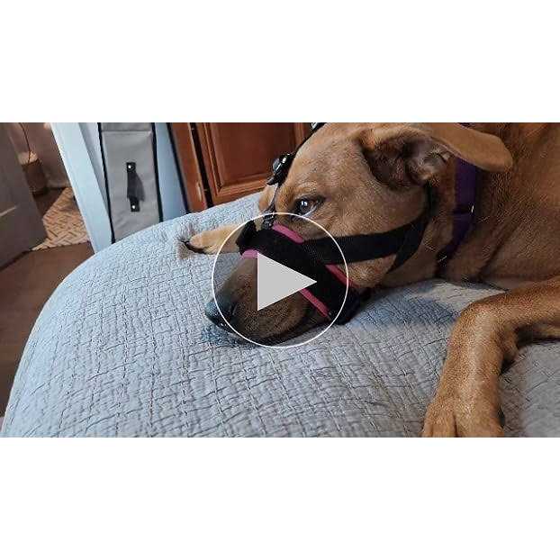GoodBoy Gentle Muzzle Guard for Dogs Prevents Biting and Unwanted Chewing Safely Secure Comfort Fit