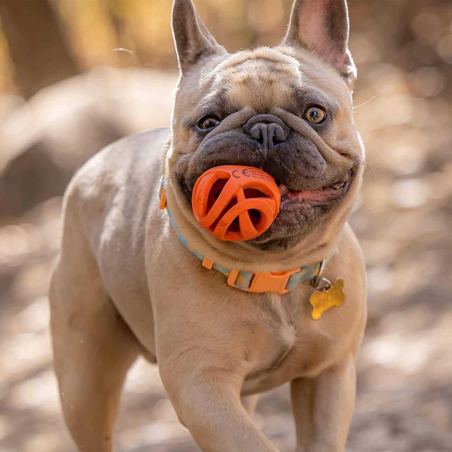 Chuckit! Breathe Right Fetch Ball
