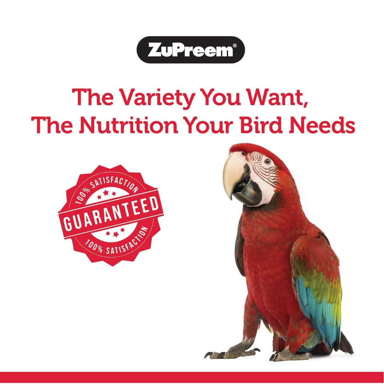 Zupreem FruitBlend Flavor Bird Food Large
