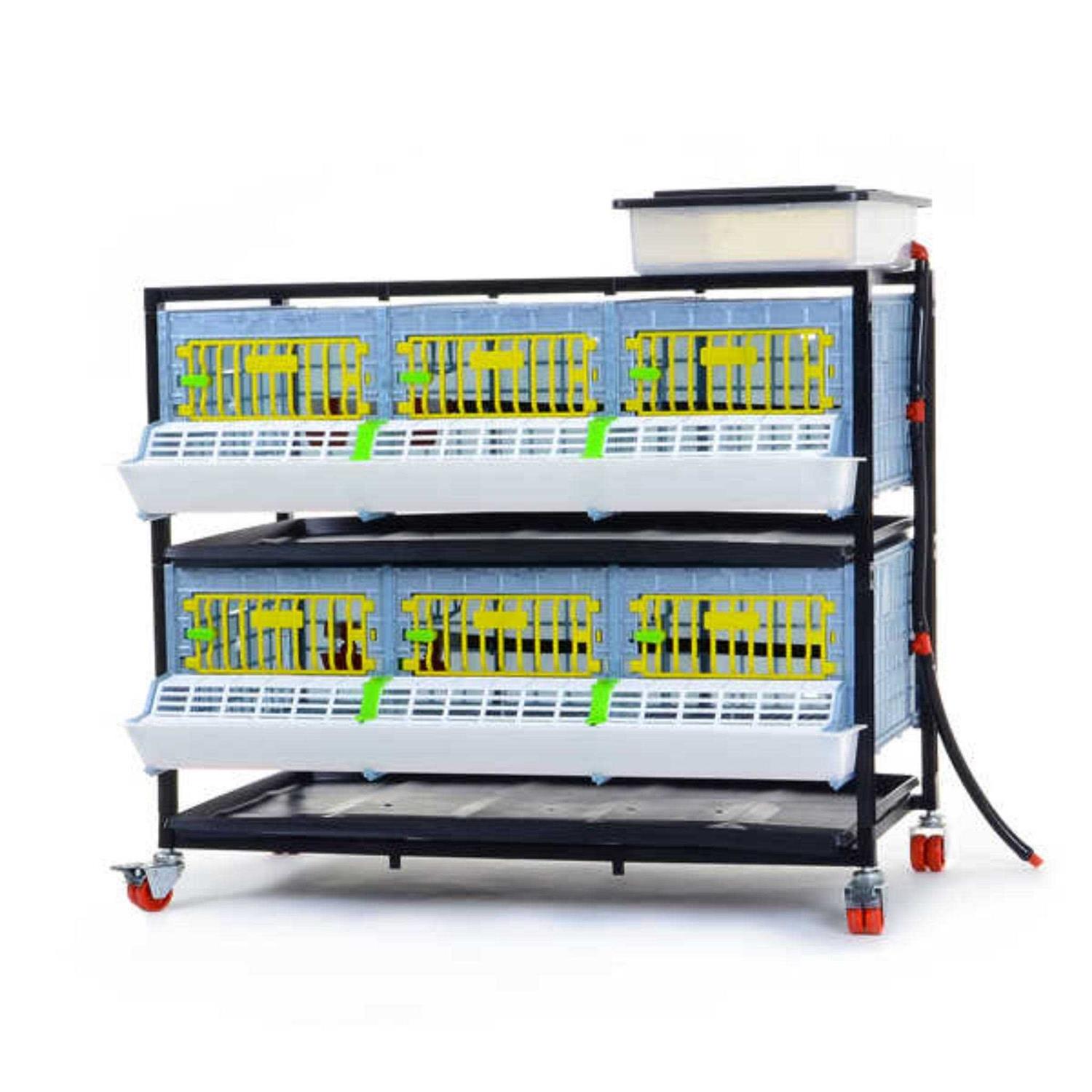 Grow Out Pen 2 Layer H:9.5 Cimuka