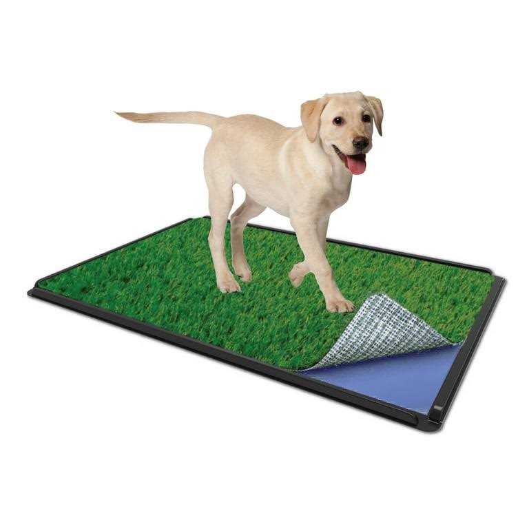 ZorbiPad Indoor Dog Potty System 16 x 24