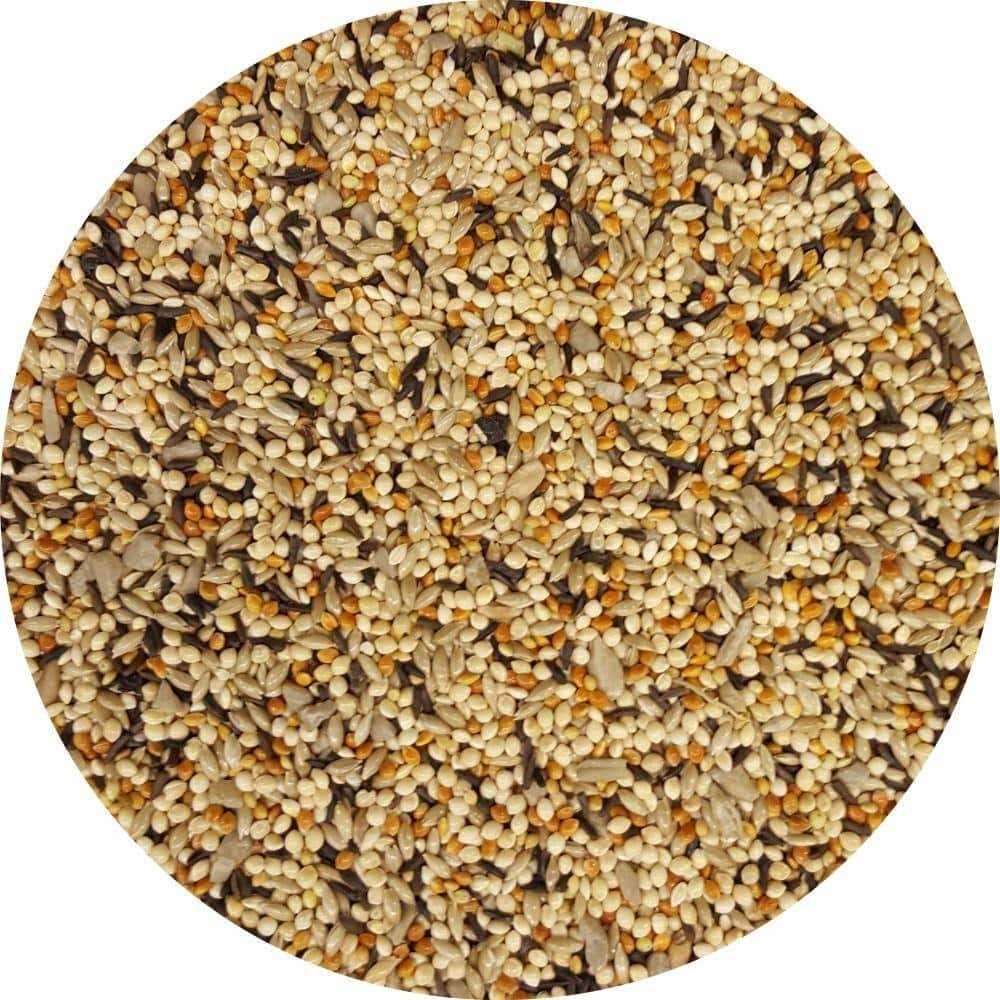 Wagner’s 10 lb. Finches Deluxe Wild Bird Food