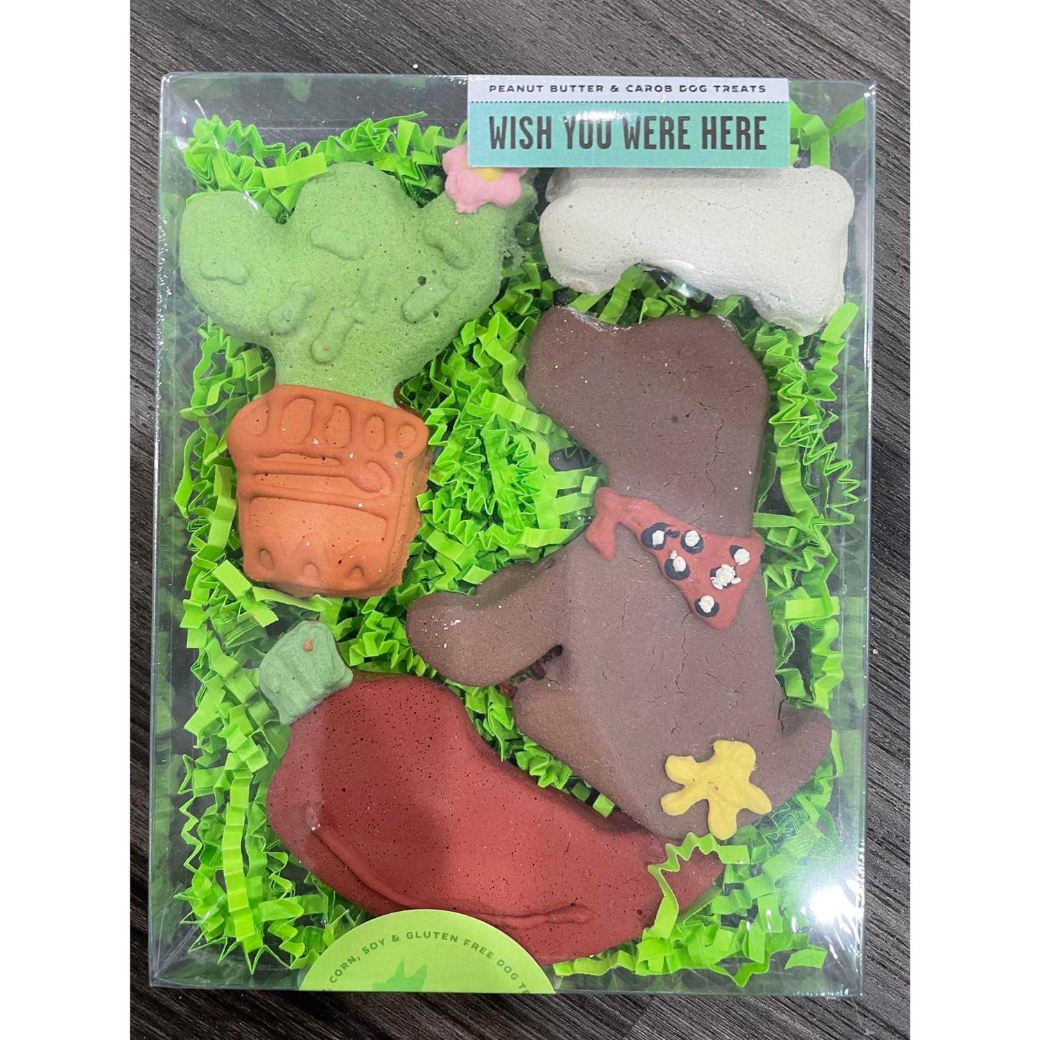 Bubba Rose Biscuit smbboy Birthday Boy