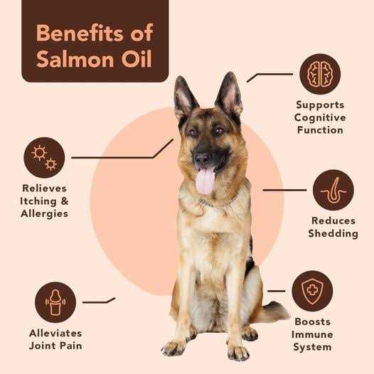 Natural Dog Company Wild Alaskan Salmon Oil for Dogs