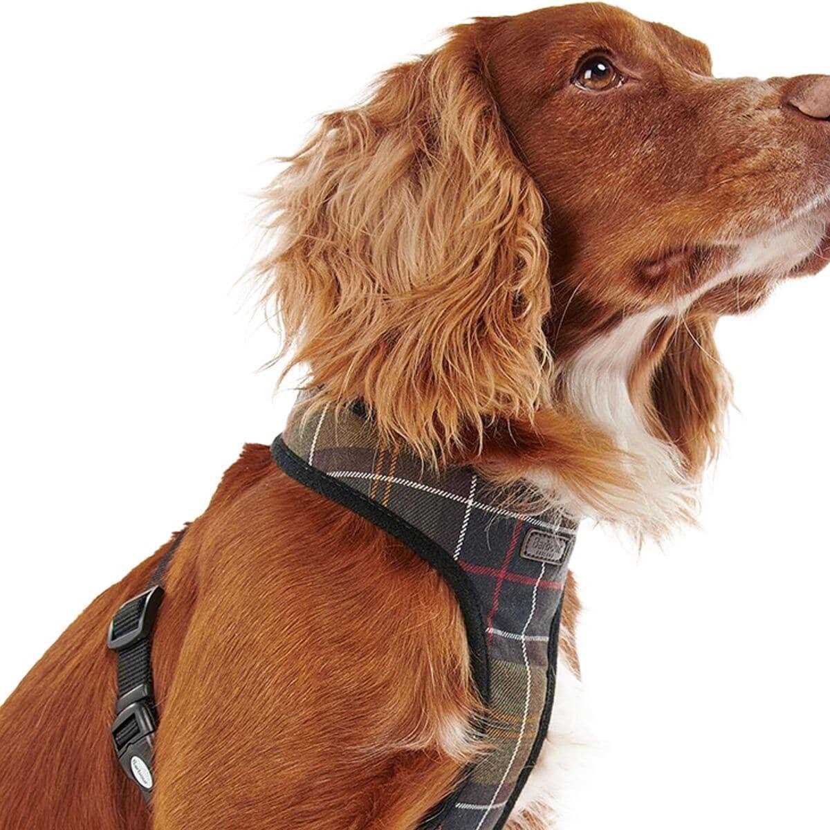 Barbour Tartan Dog Harness