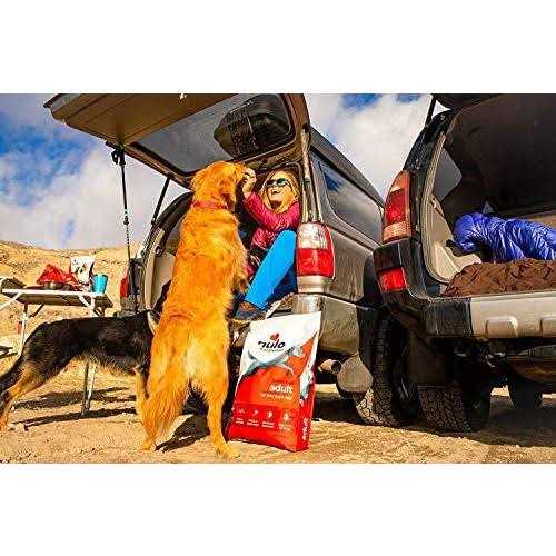 Nulo Frontrunner Turkey Dry Dog Food