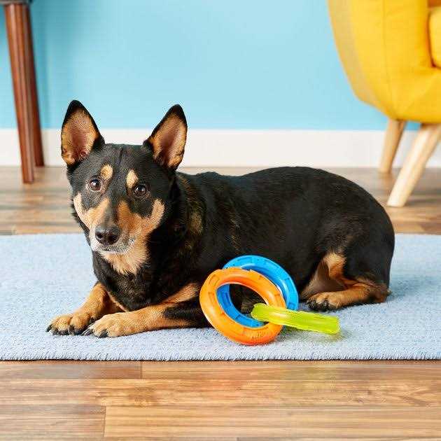 Nerf 3-Ring Tug Dog Toy