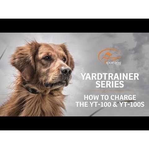 SportDOG YardTrainer 100