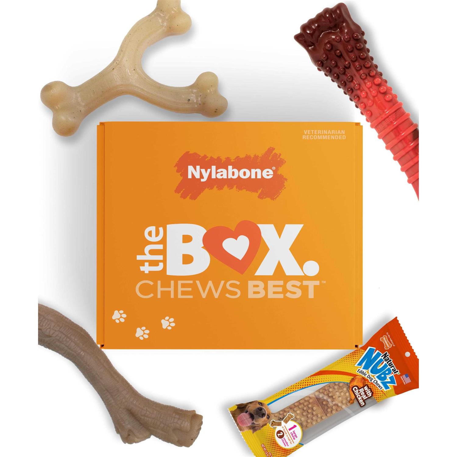 Nylabone The Box Chew Toy & Treat Gift Box Dogs