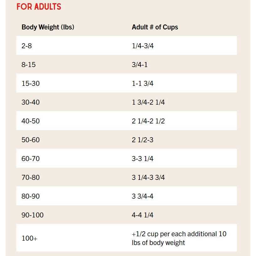 Stella & Chewy’s Raw Coated Kibble Recipe with Wholesome Grains Dog
