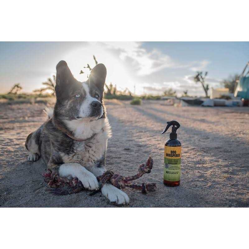 Dog Whisperer Tick Flea Repellent