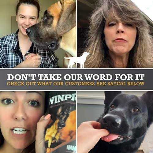 Winpro Pet Free Plasma-Powered Soft Chews, 60 Chews, Natural Blood Protein Supplements for Dogs and