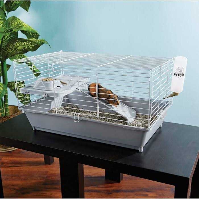 You & Me Guinea Pig Starter Kit