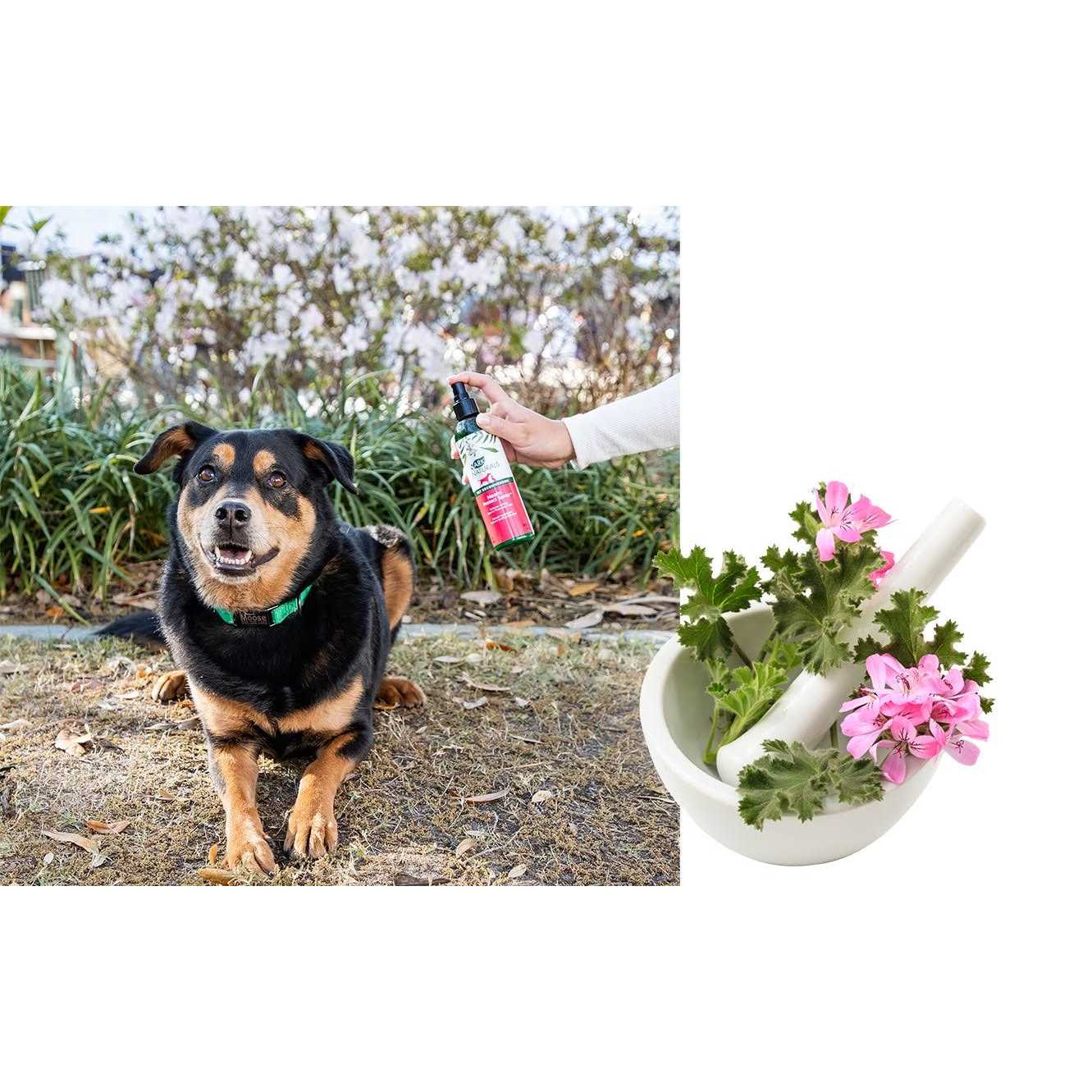 Ark Naturals Neem Protect Spray