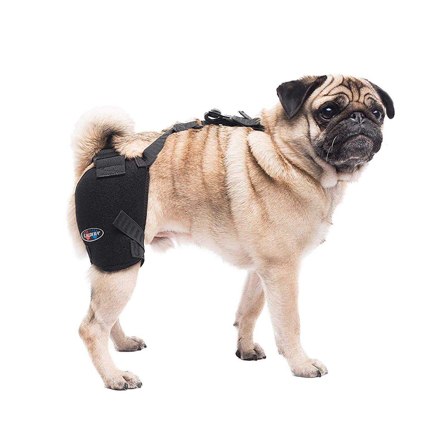 Caldera Hip Therapy Wrap with Gel Packs for Dogs