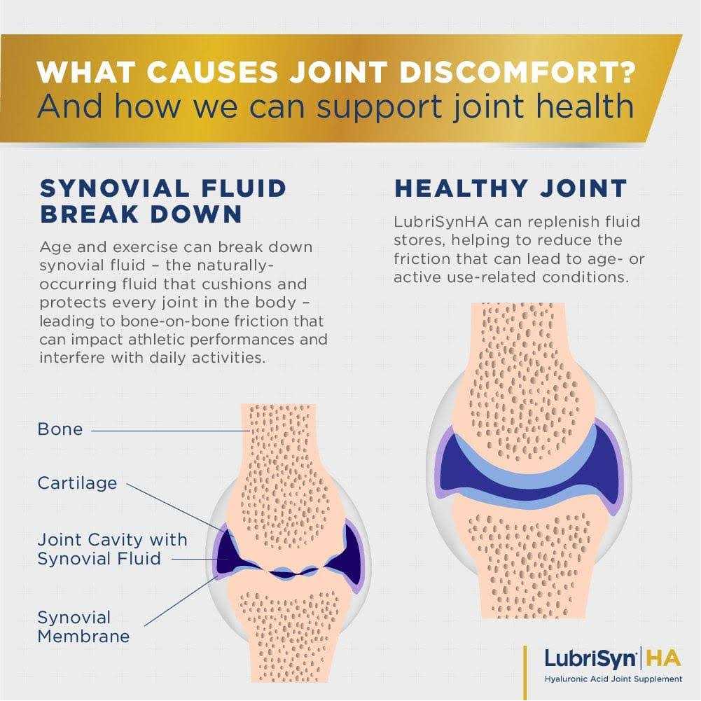 LubriSyn Ha Joint Supplement for Pet