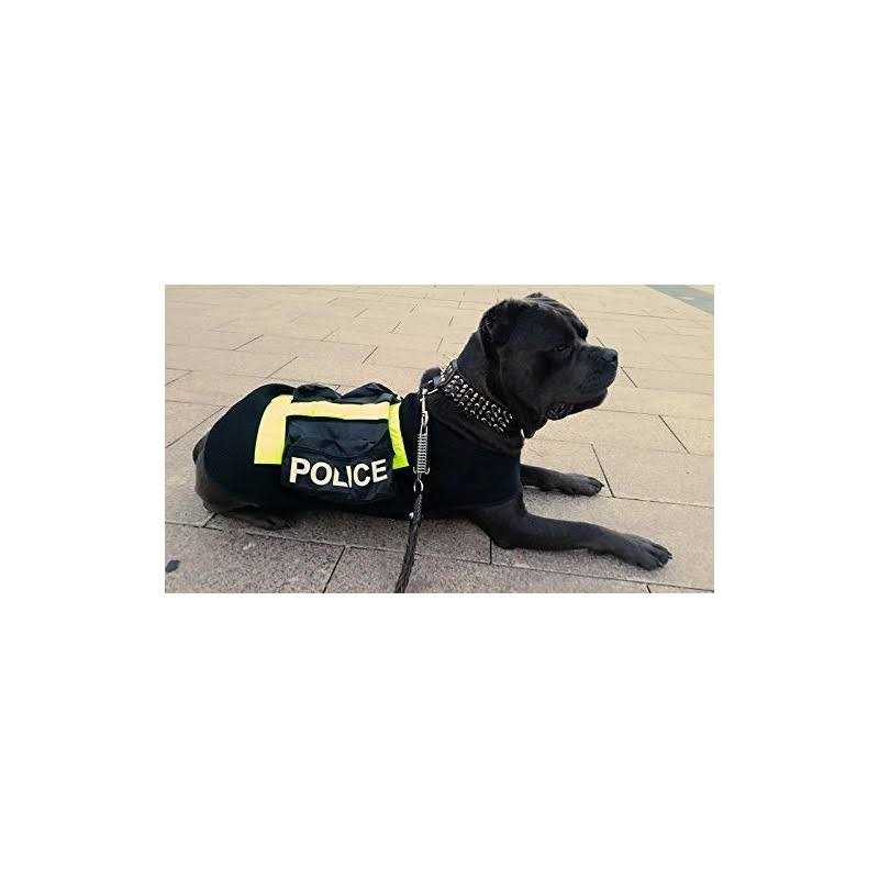 Pet Artist 2 Wide Luxury Genuine Leather Spiked Studded Dog Collars for Medium & Large Dogs