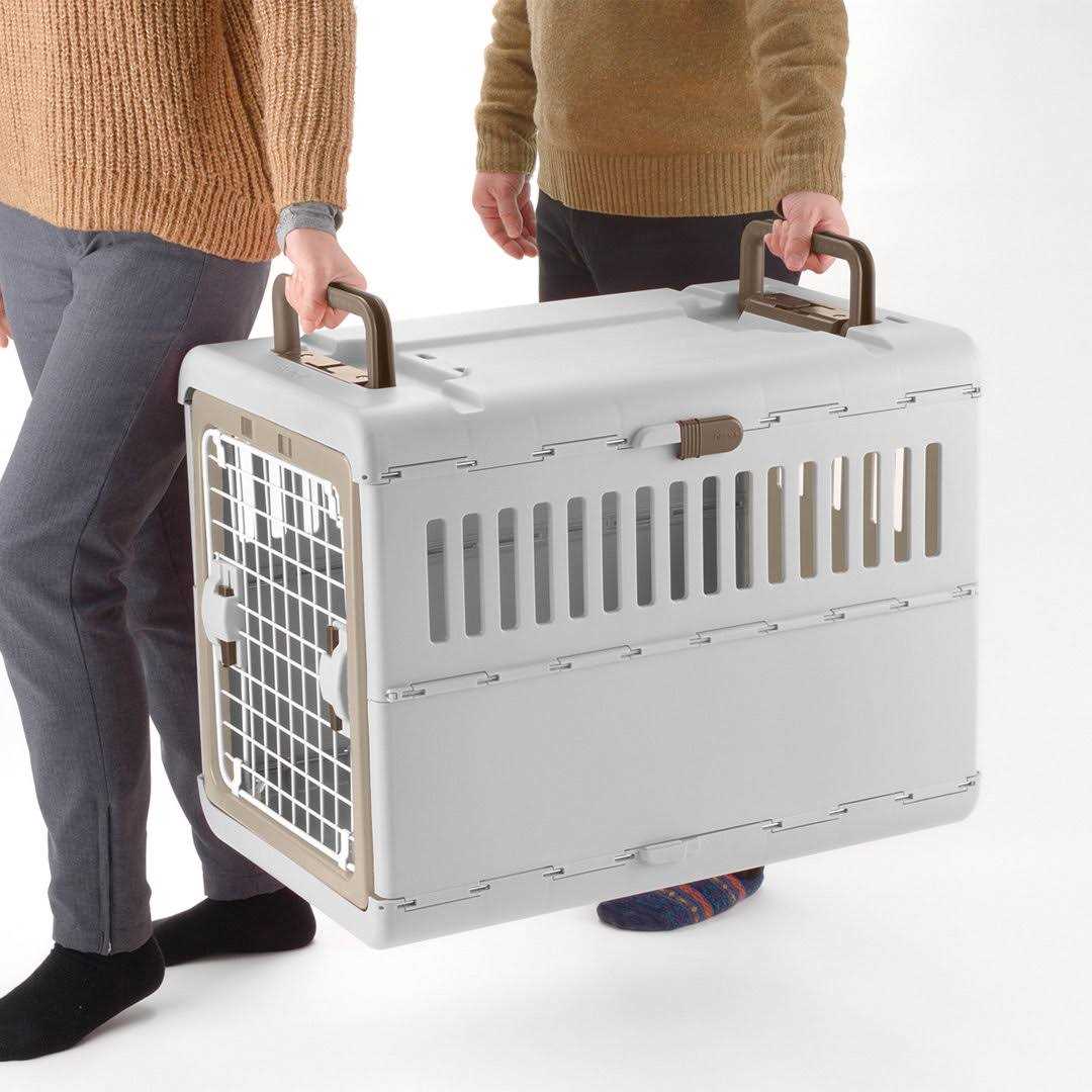 Richell Foldable Pet Carrier
