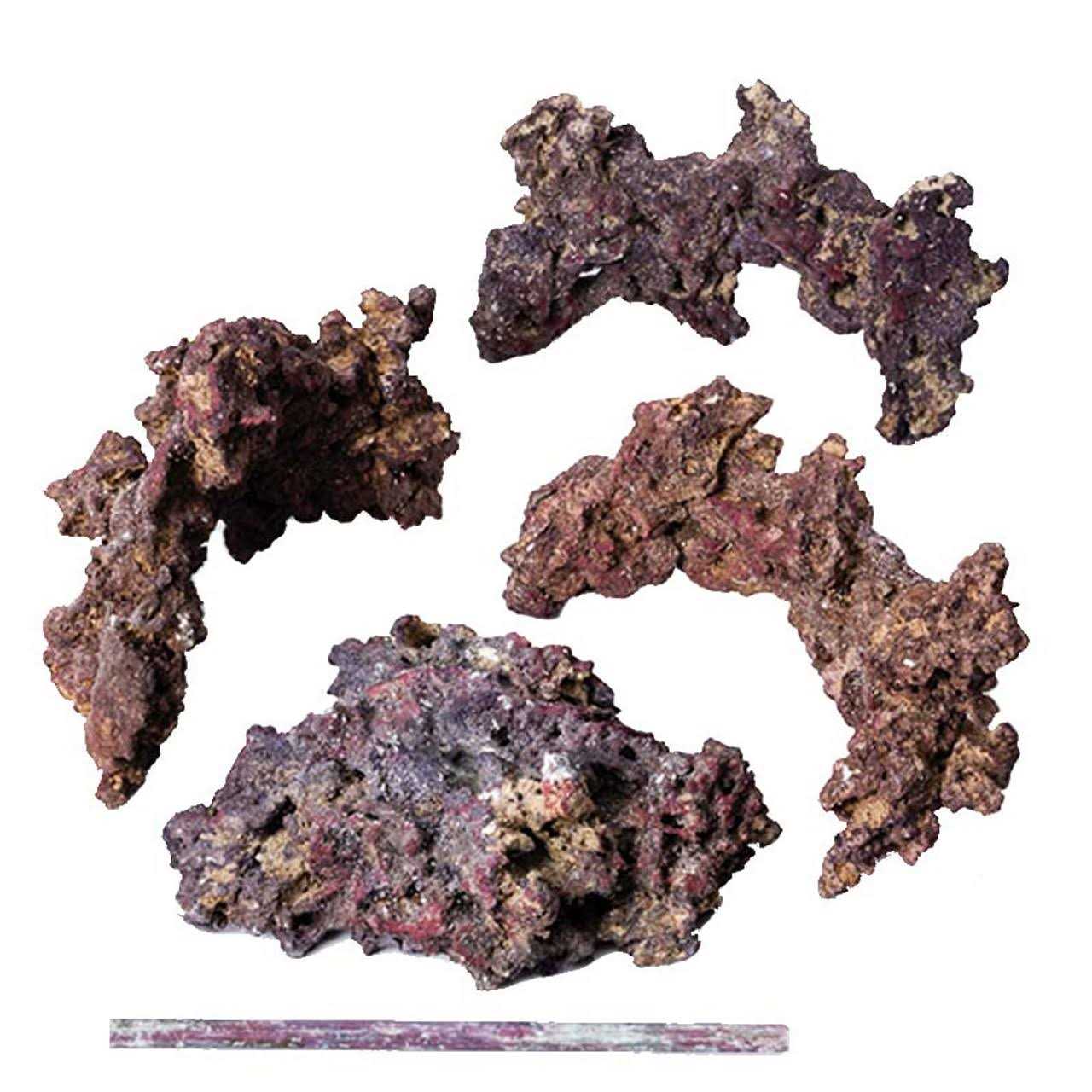 CaribSea LifeRock Reef Tree with Arches