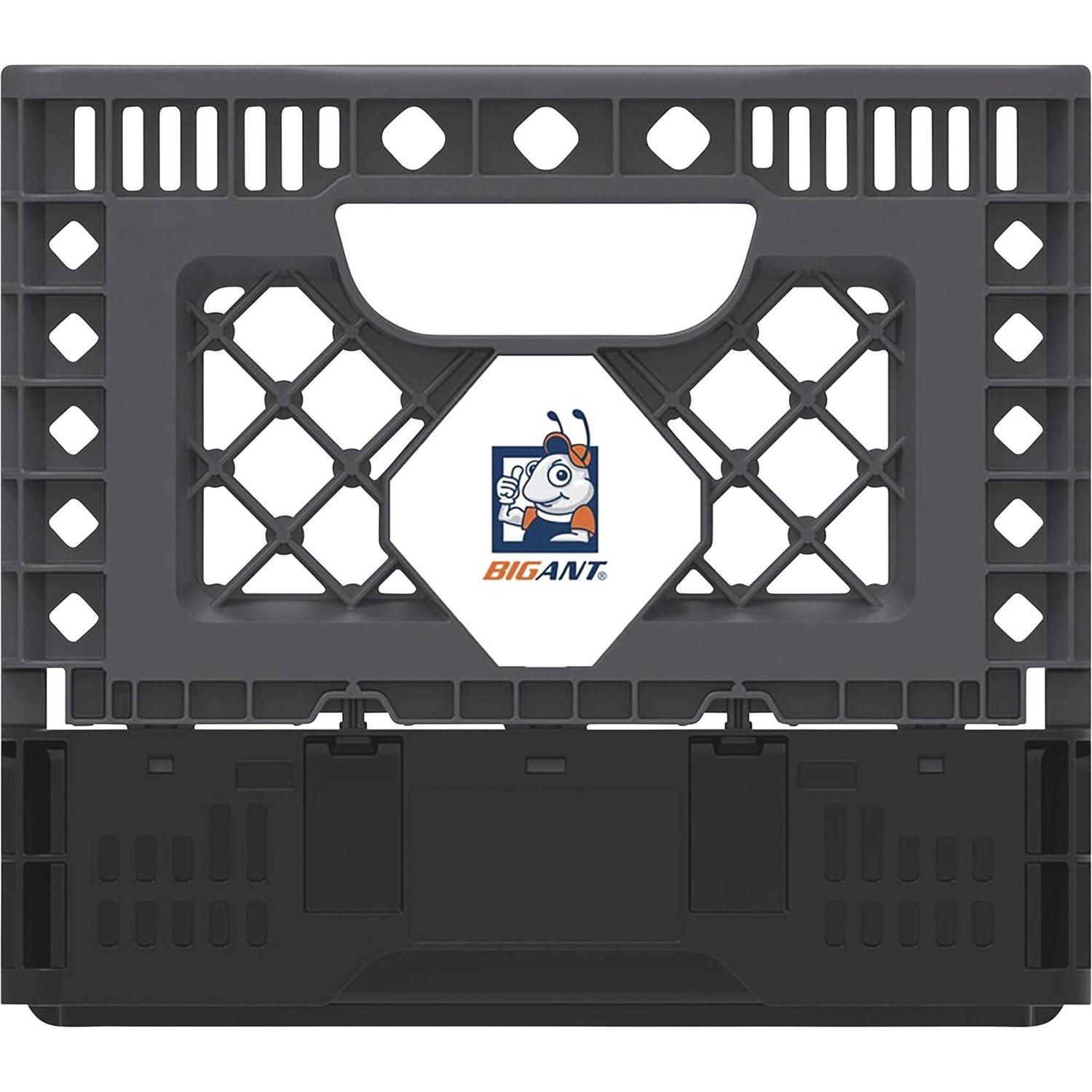 Big Ant IP543630G Medium Collapsible Crate