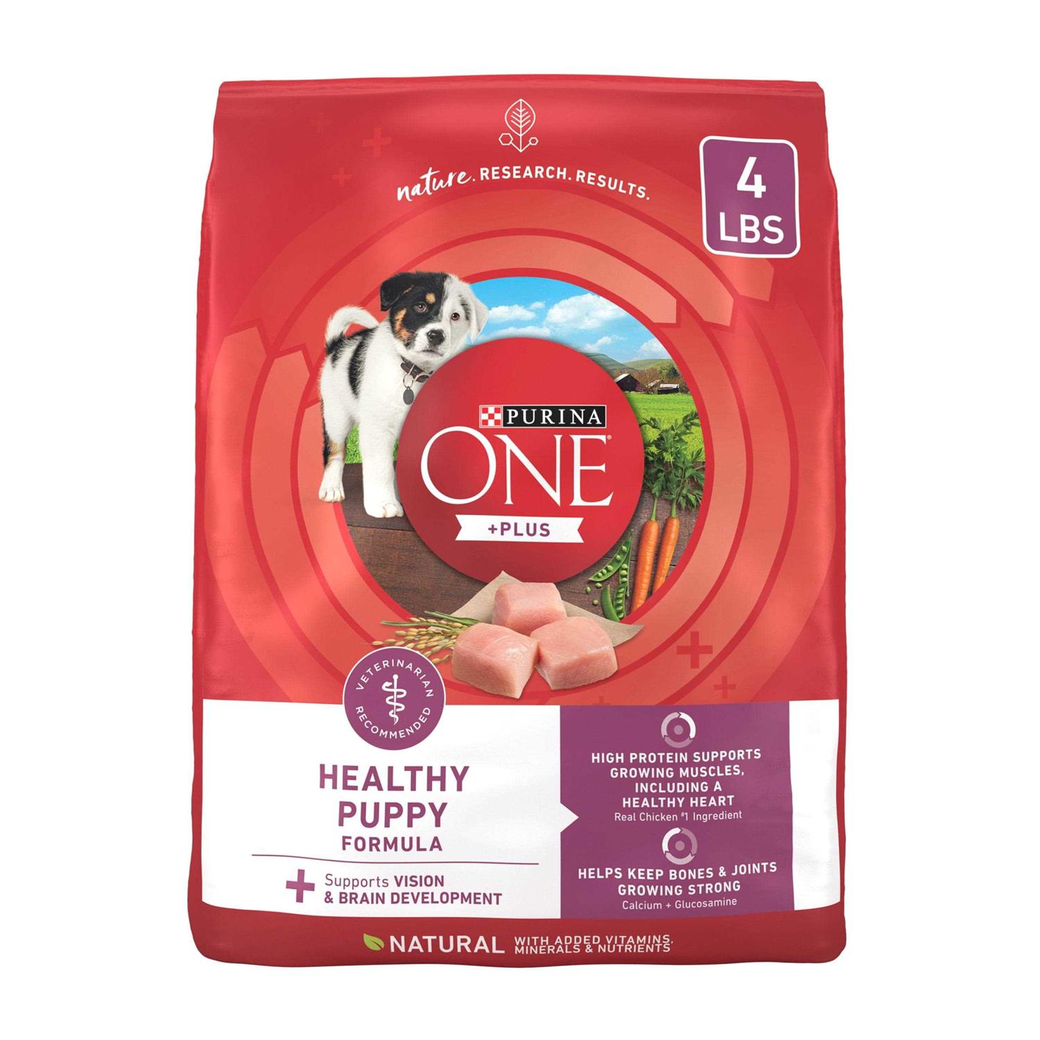 Purina ONE Healthy Puppy Formula Dry Food