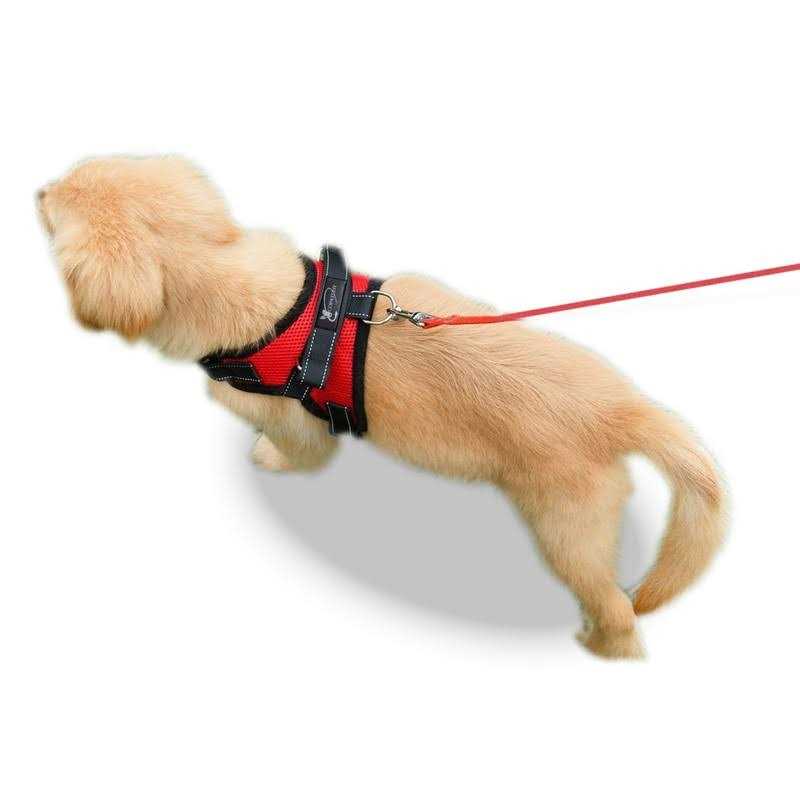 Copatchy No Pull Adjustable Reflective Dog Harness with Handle