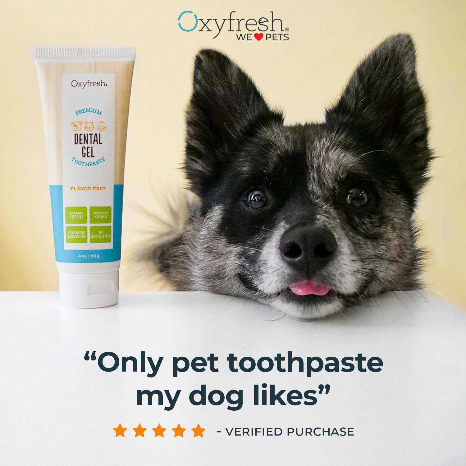 Oxyfresh Pet Dental Gel Toothpaste