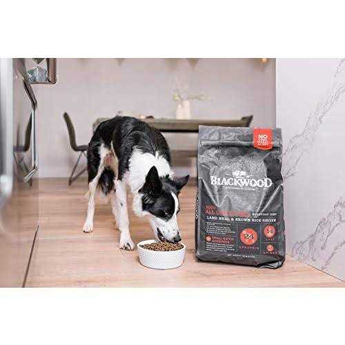 Blackwood All Life Stages Food