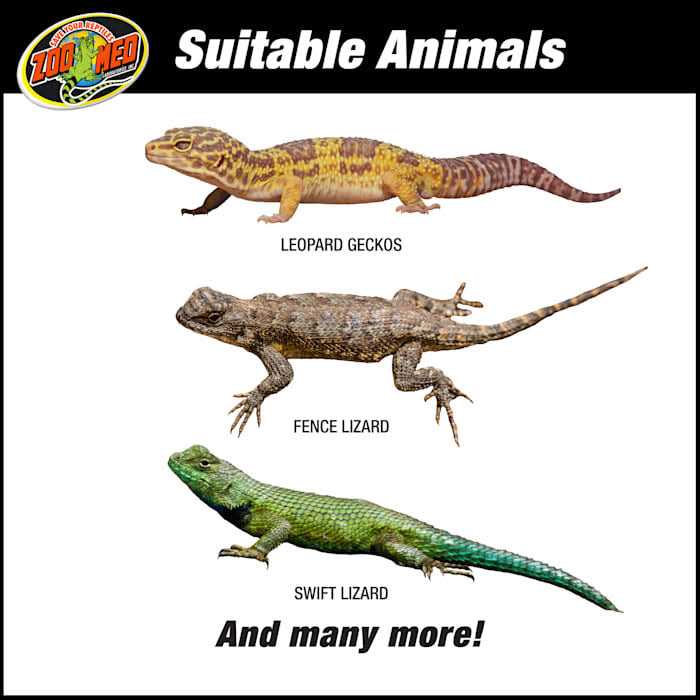 Zoo Med ReptiHabitat Desert Starter Kit