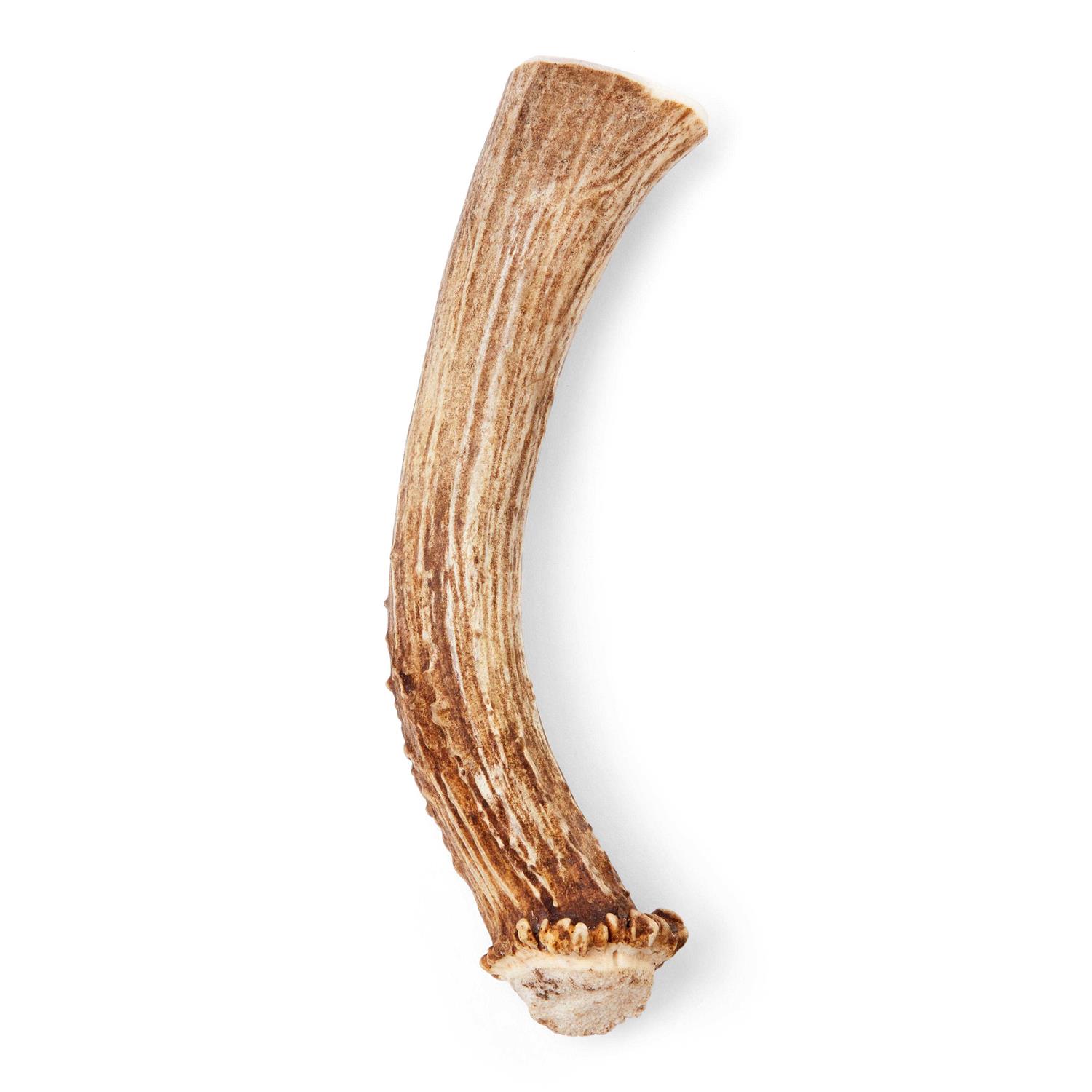 Good Lovin’ Naturally Shed Whole Deer Antler Dog Chew