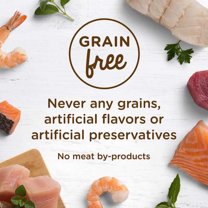 Rachael Ray Nutrish Wet Cat Food, Ocean Fish-A-Licious – 2.8 oz cup