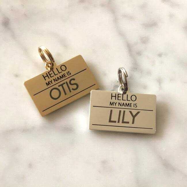 Two Tails Pet Company Hello My Name is ID Tag