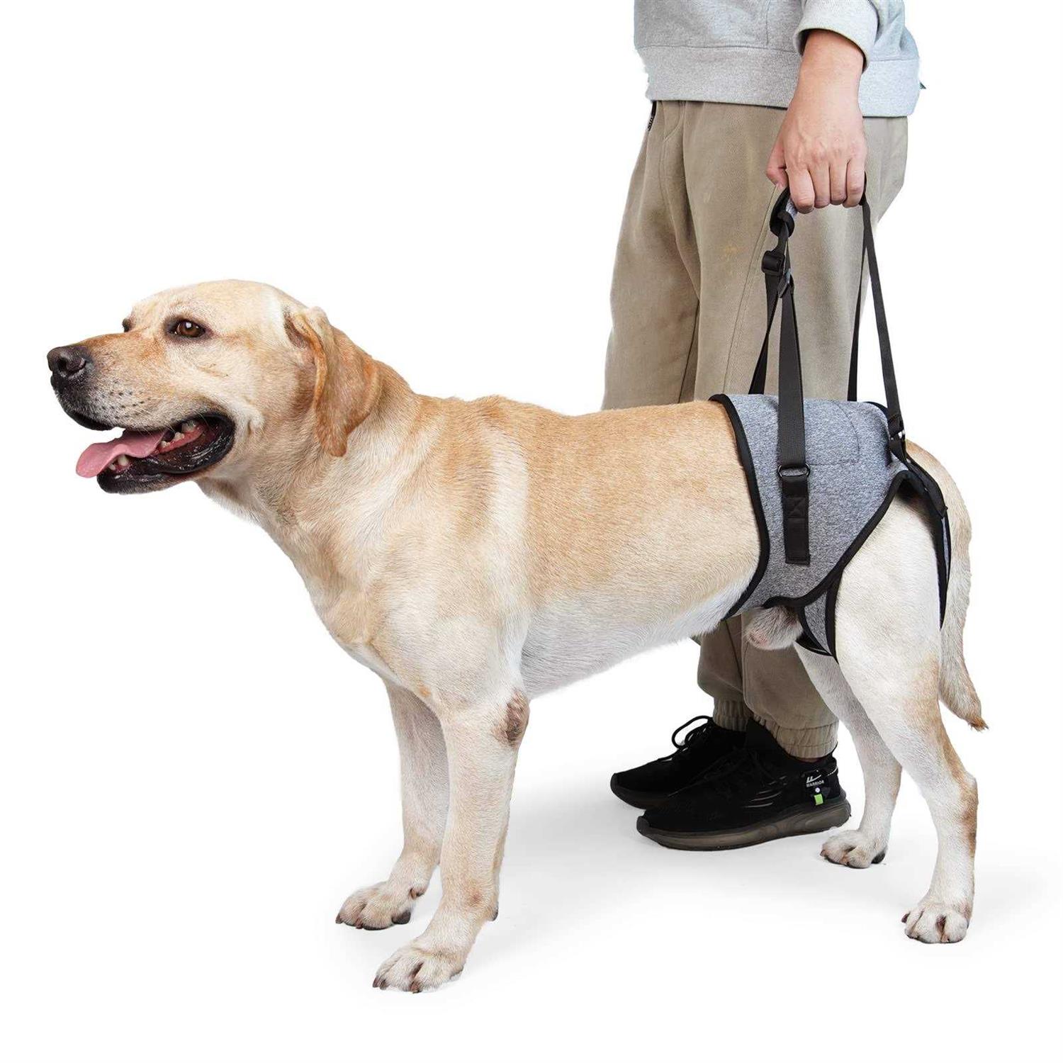 Dotoner Dog Sling for Large Dogs Hind Leg Support to Help Rehabilitate The Hind Limbs of Elderly Dogs with Weak Hind Legs Disabilities and Injuries