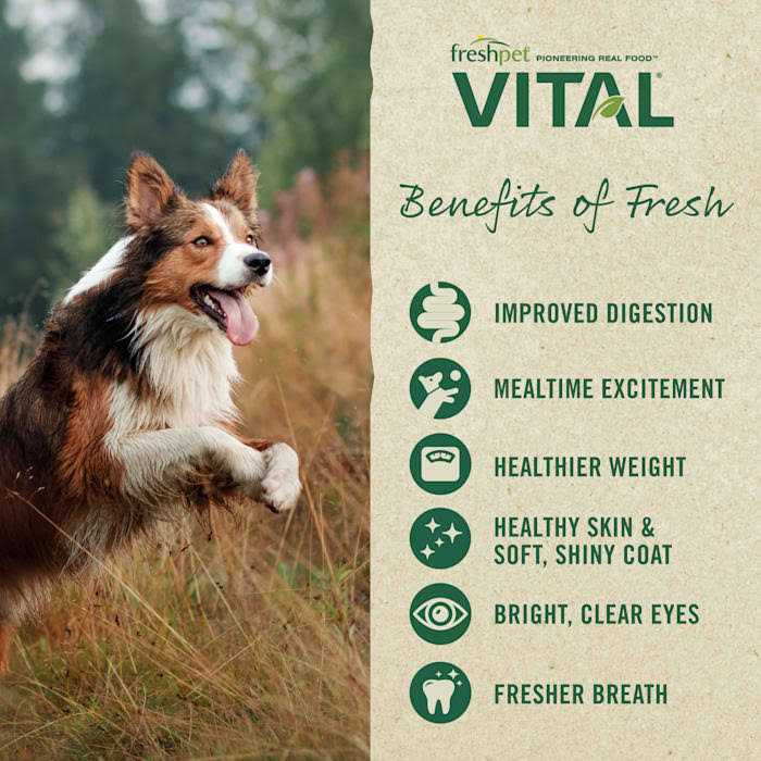 Freshpet Vital Fresh Cuts Dog Food Chicken
