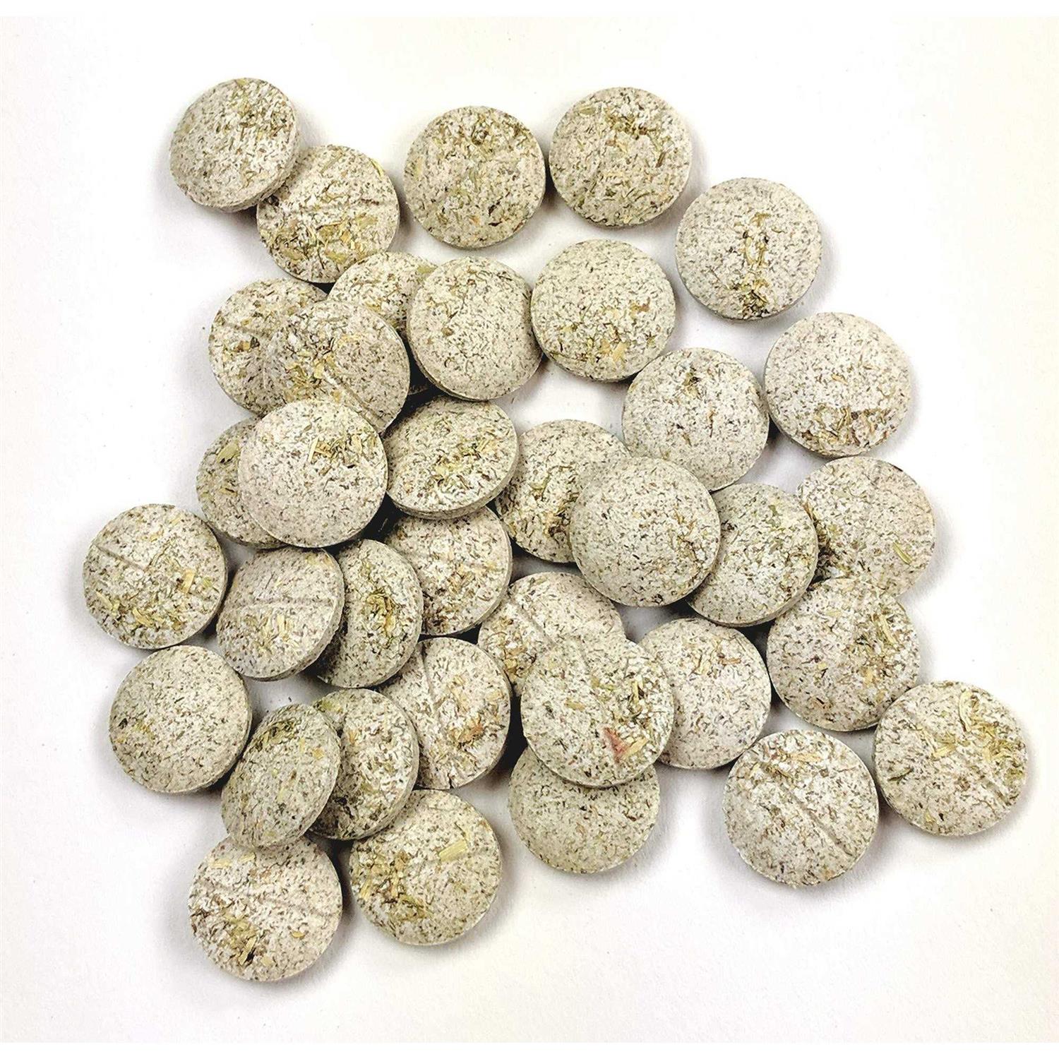 Oxbow Animal Health Natural Science Papaya Support