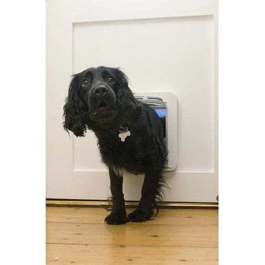 SureFlap Microchip Pet Door