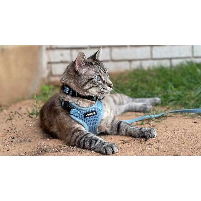 Voyager Step-in Lock Pet Harness All Weather Mesh, Adjustable Step in Harness for Cats and Dogs by Best Pet Supplies