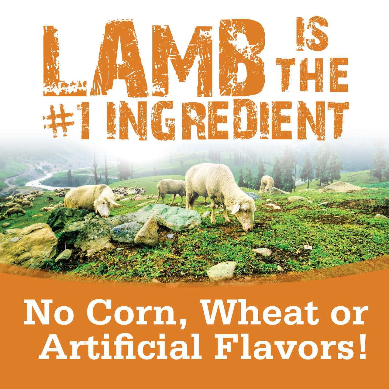 NutriSource Soft & Tender Lamb Dog Treats