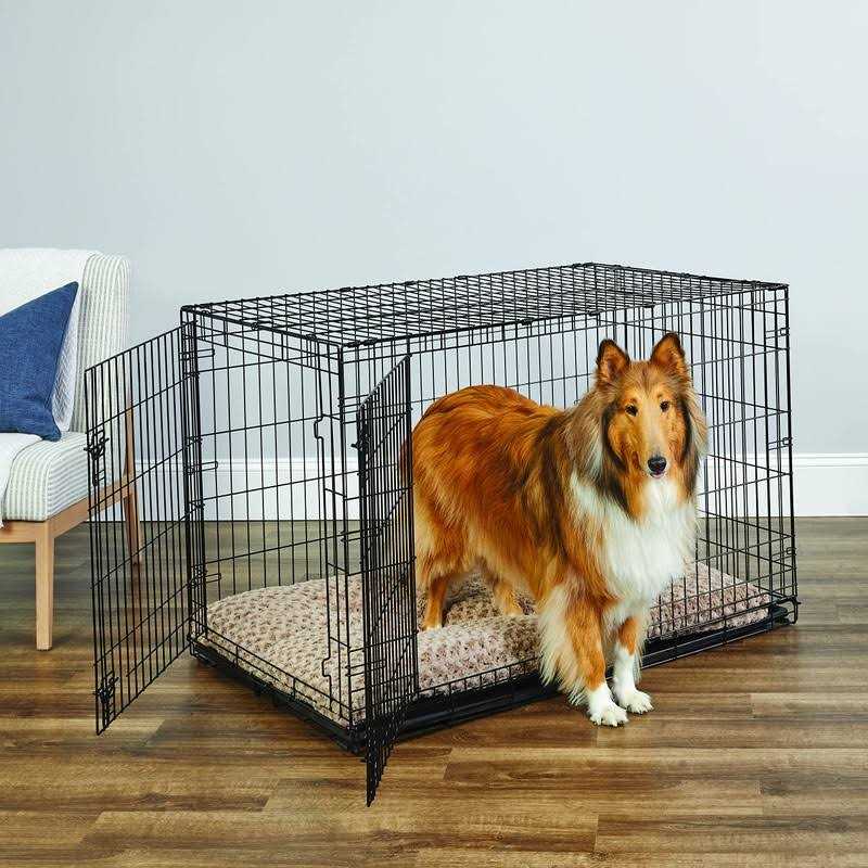 New World Pet Products New World Pet Newly Enhanced Single Door New World Dog crate