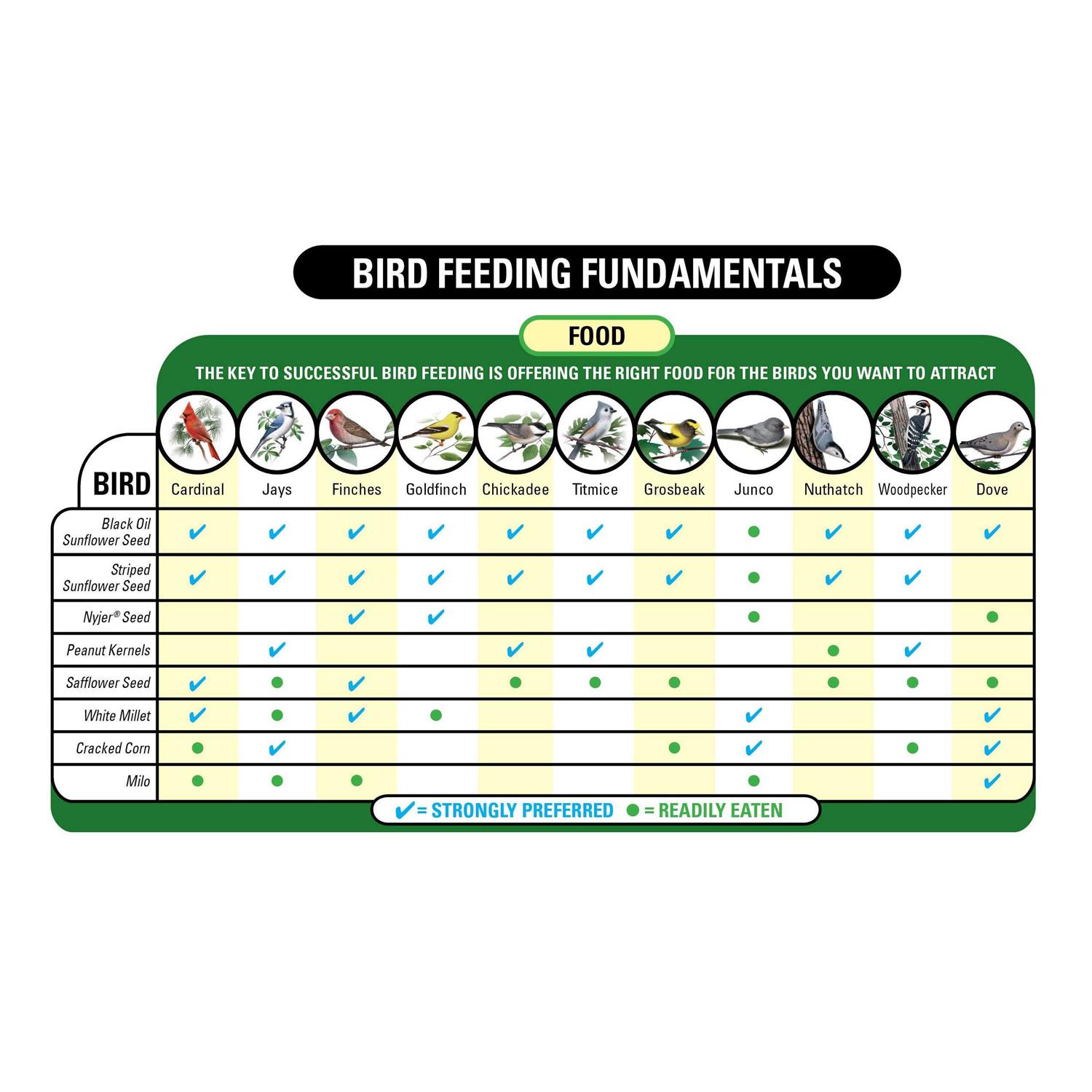 Wagner’s 62004 Eastern Regional Wild Bird Food