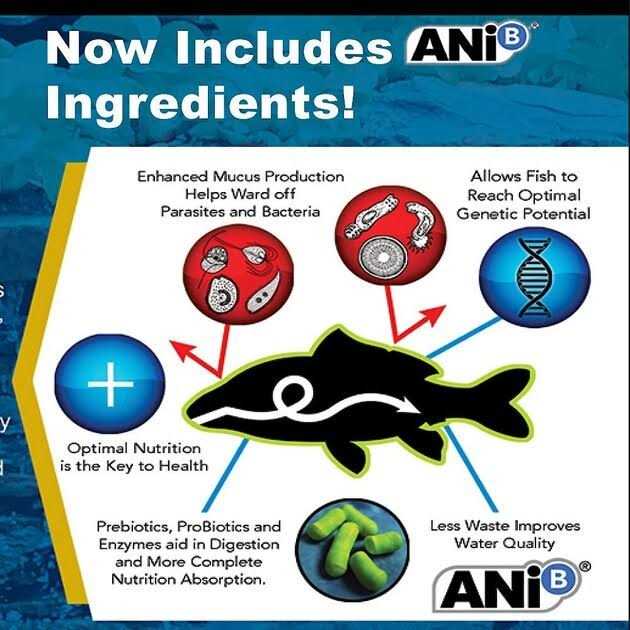 Blackwater Max Growth Medium Pellet Food