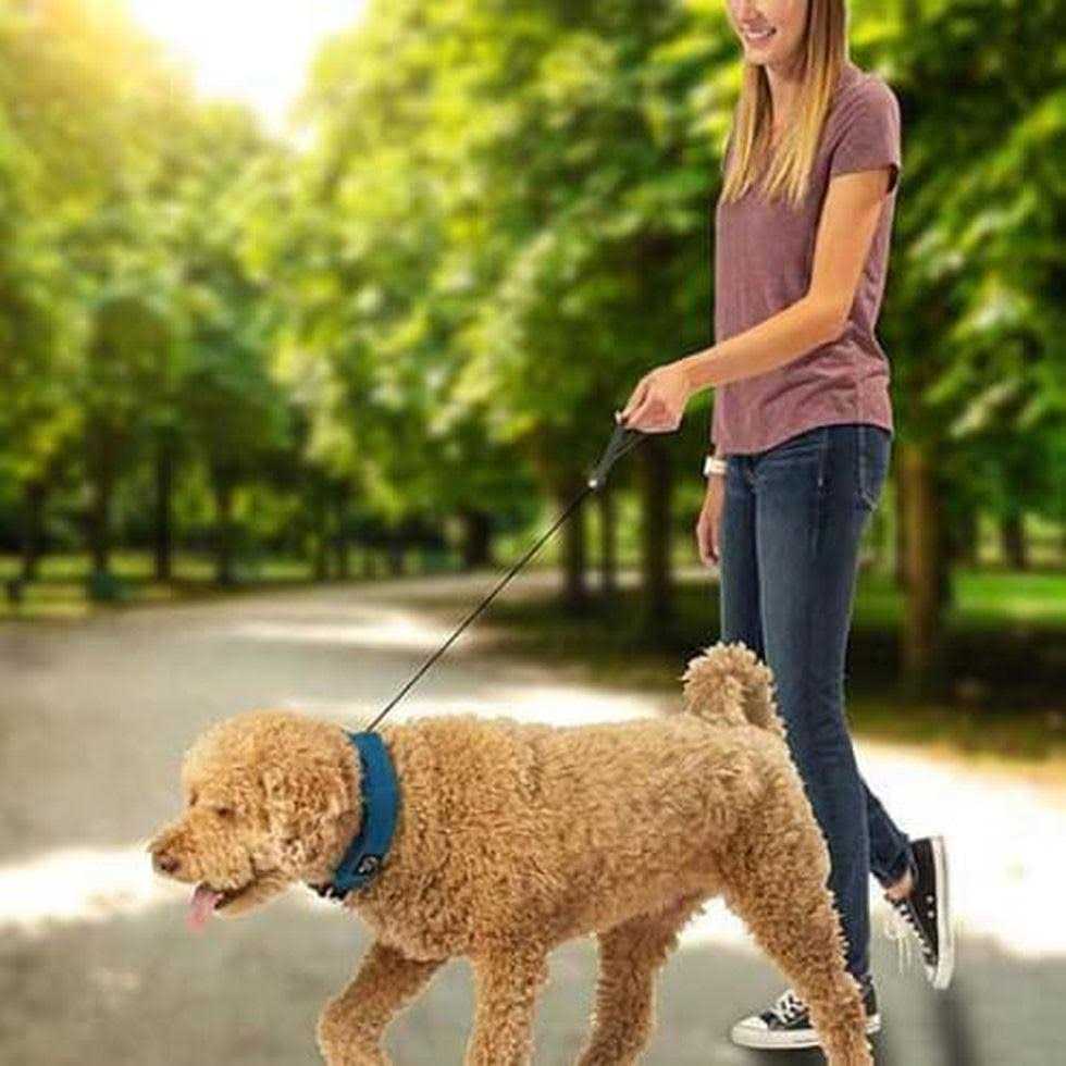 Nite Ize RadDog All-In-One Collar and Leash