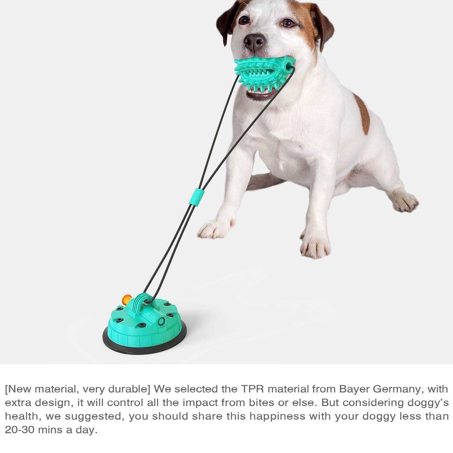 Hanamya Toothbrush Dog Chew Toy