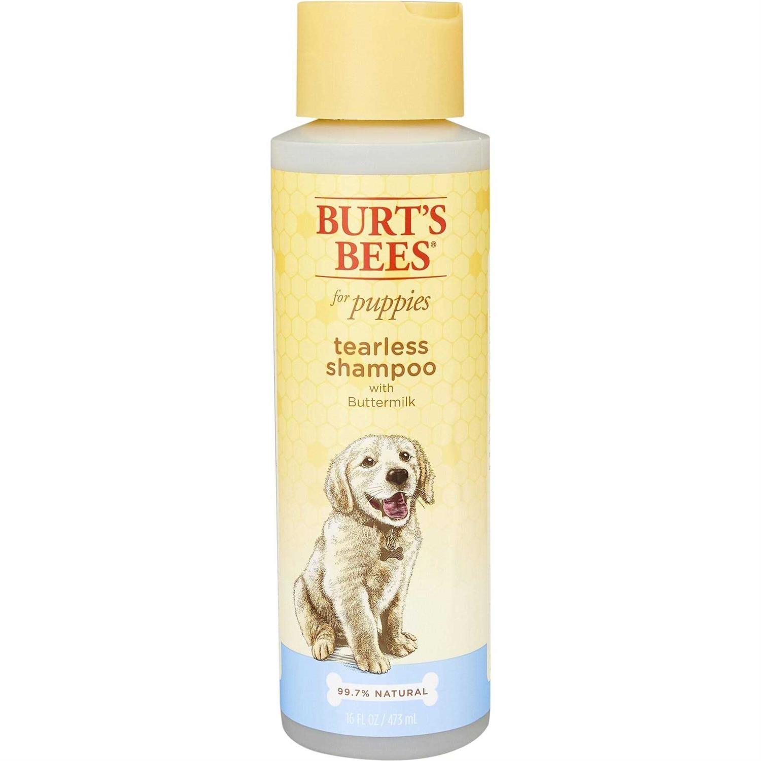 Burt’s Bees Tearless Shampoo with Buttermilk