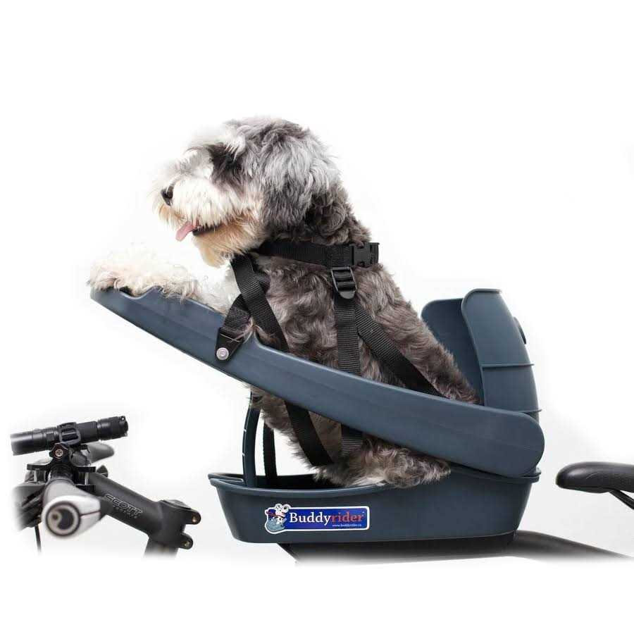 Buddyrider Dog Bicycle Seat Safety Dog Bike Seat For Dogs Up To 25 lbs