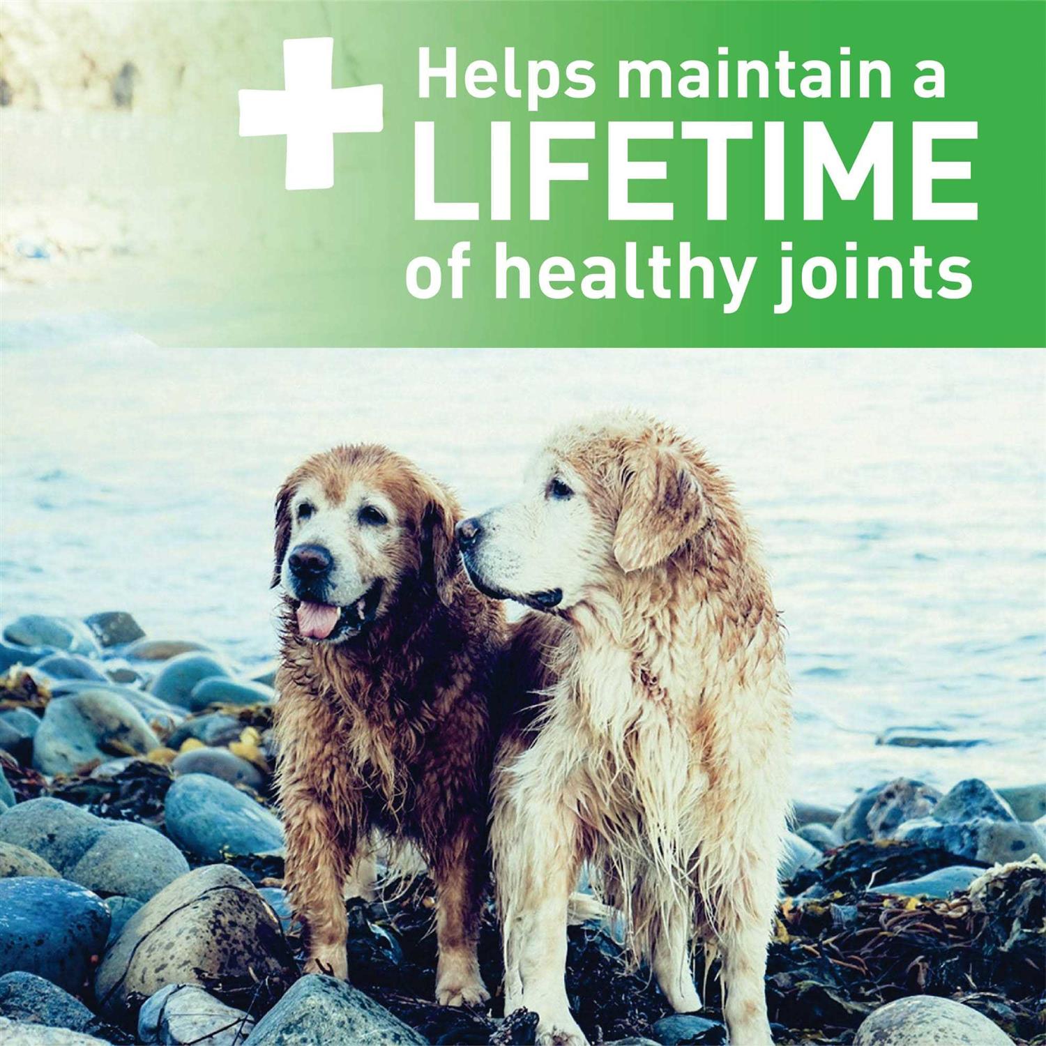 Greenies Aging Care Dental Dog Treats
